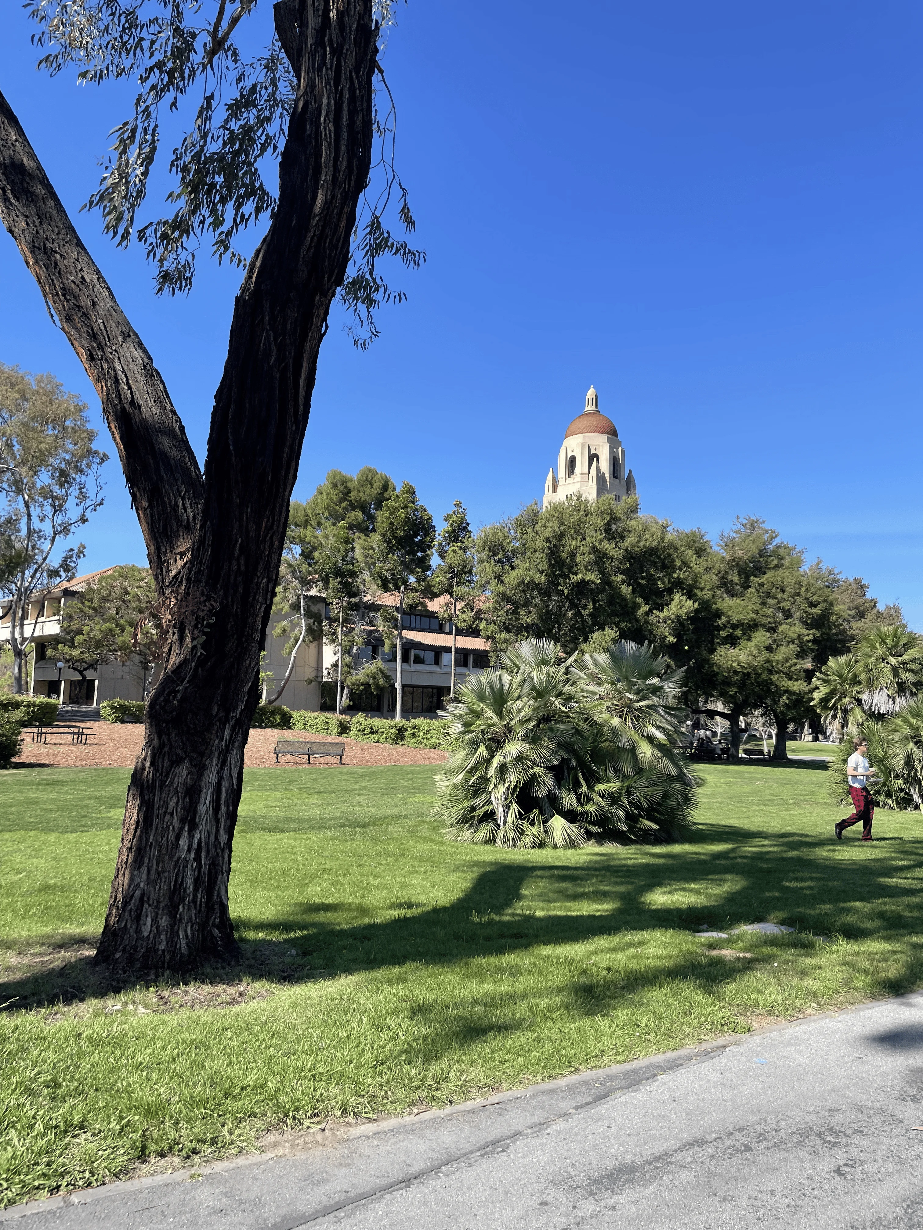 Stanford Hoover Tower