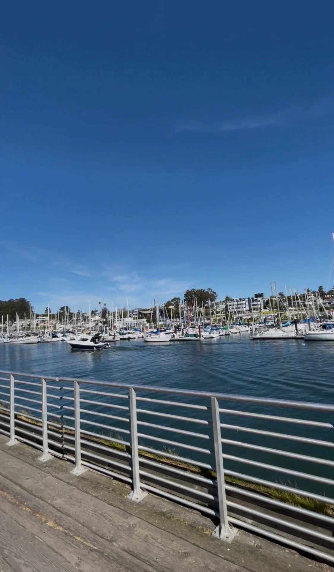 Santa Cruz Small Craft Harbour