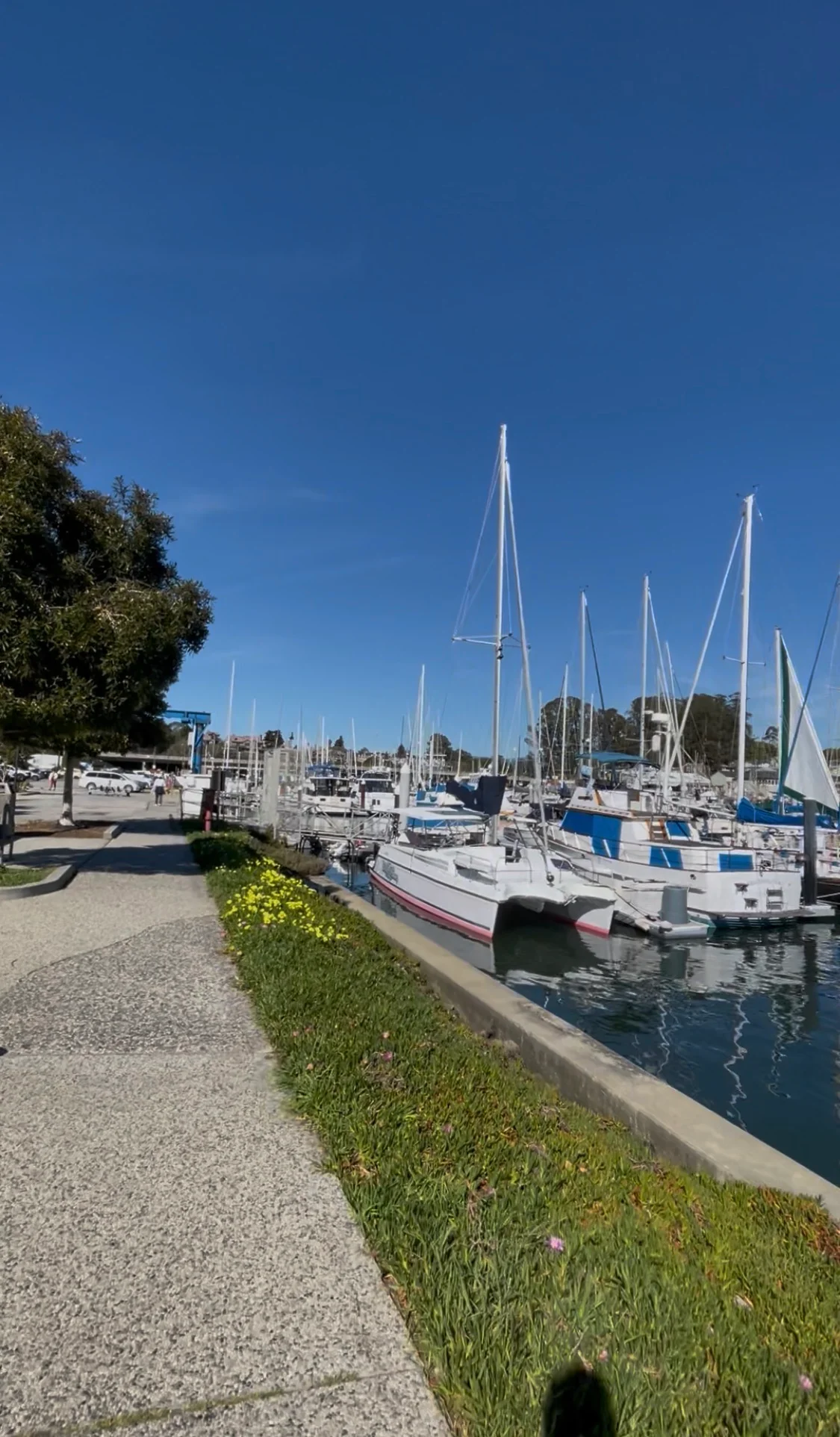 Santa Cruz Small Craft Harbour Boats