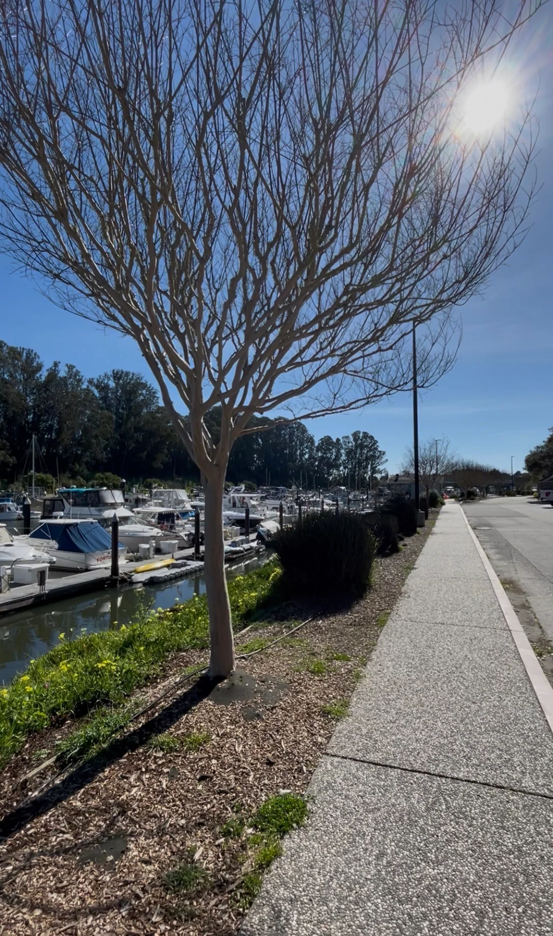 Santa Cruz Small Craft Harbour Sidewalk